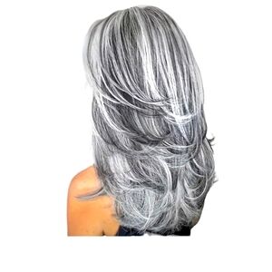 Long wavy synthetic wig with highlighted 26" long layers grey to dark gr…